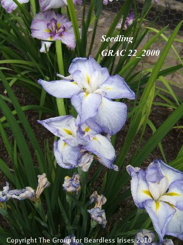 38 Sdg GRAC 22_2000 (2)